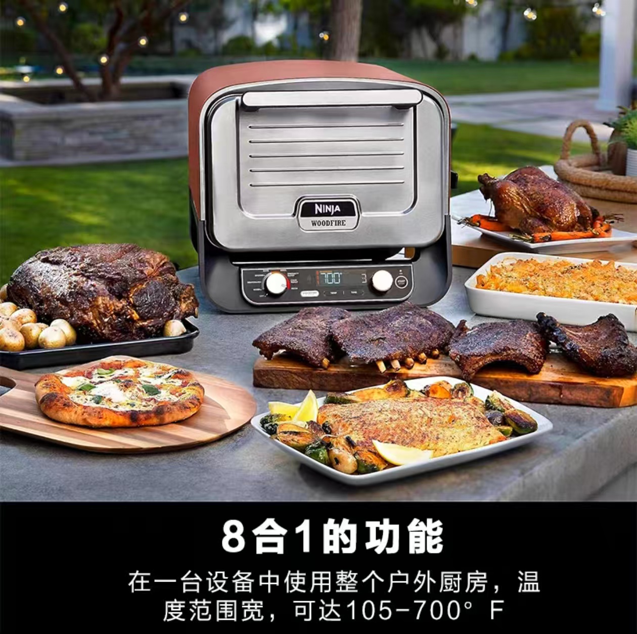 2026 Buitenpizzaoven voor elek - Camping Cooking Electric recensie en prijs