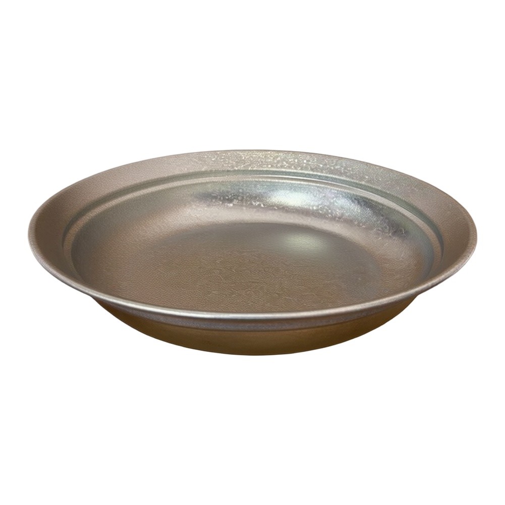 Pure titanium plaat 20 cm zilv - Camping Cooking Noodles recensie en prijs