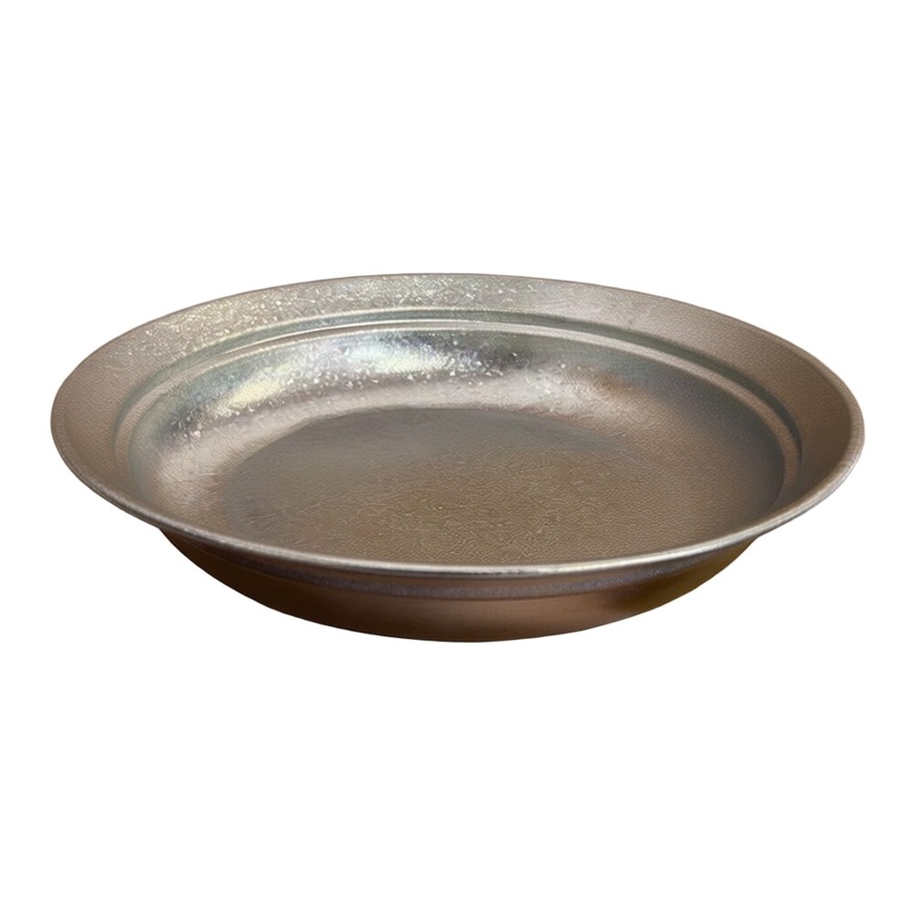 Pure titanium plaat 20 cm zilv - Camping Cooking Noodles recensie en prijs