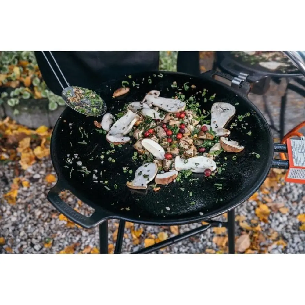 48cm Buiten Gasbarbecue met po - Camping Cooking Open Fire recensie en prijs